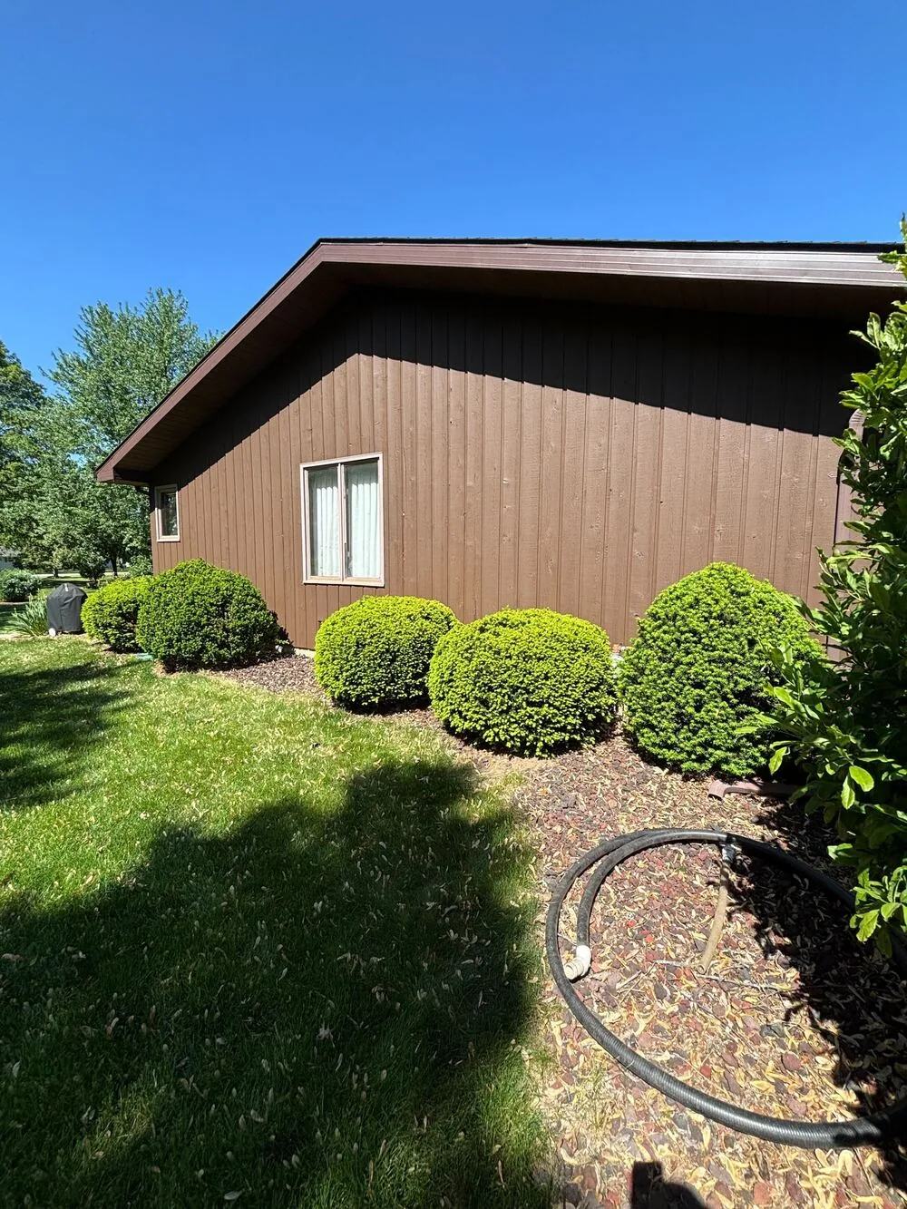 Brown stained siding beside trimmed shrubs