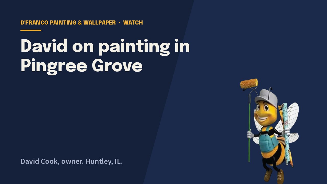 David on painting in Pingree Grove video poster