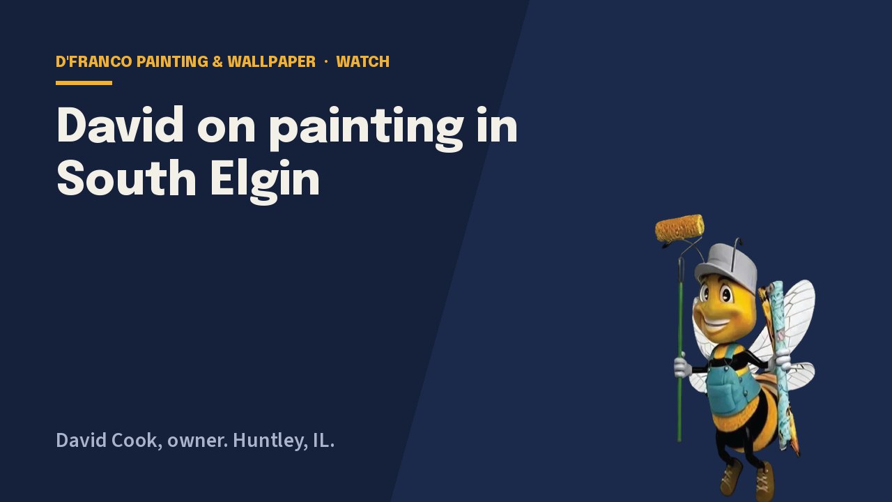 David on painting in South Elgin video poster